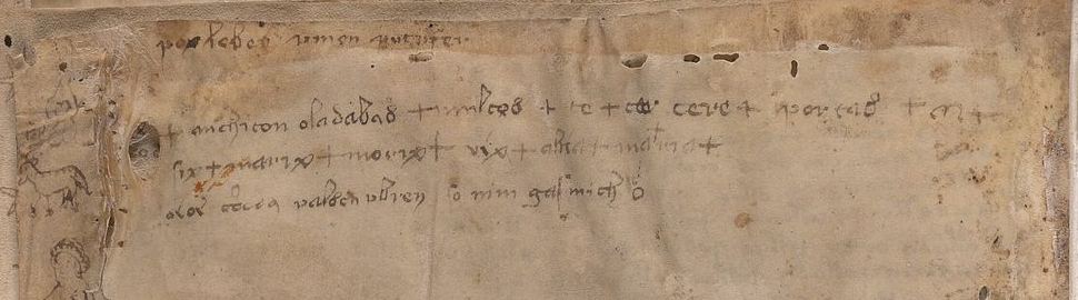Top of folio 116v with later marginalia in Latin script and a small drawing of an animal