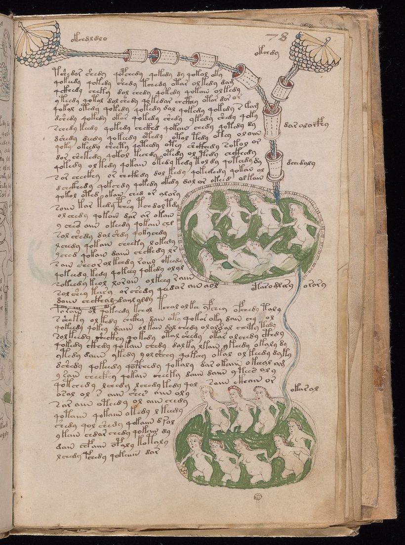 Folio 78r: nude women bathing in green pools connected by tubes