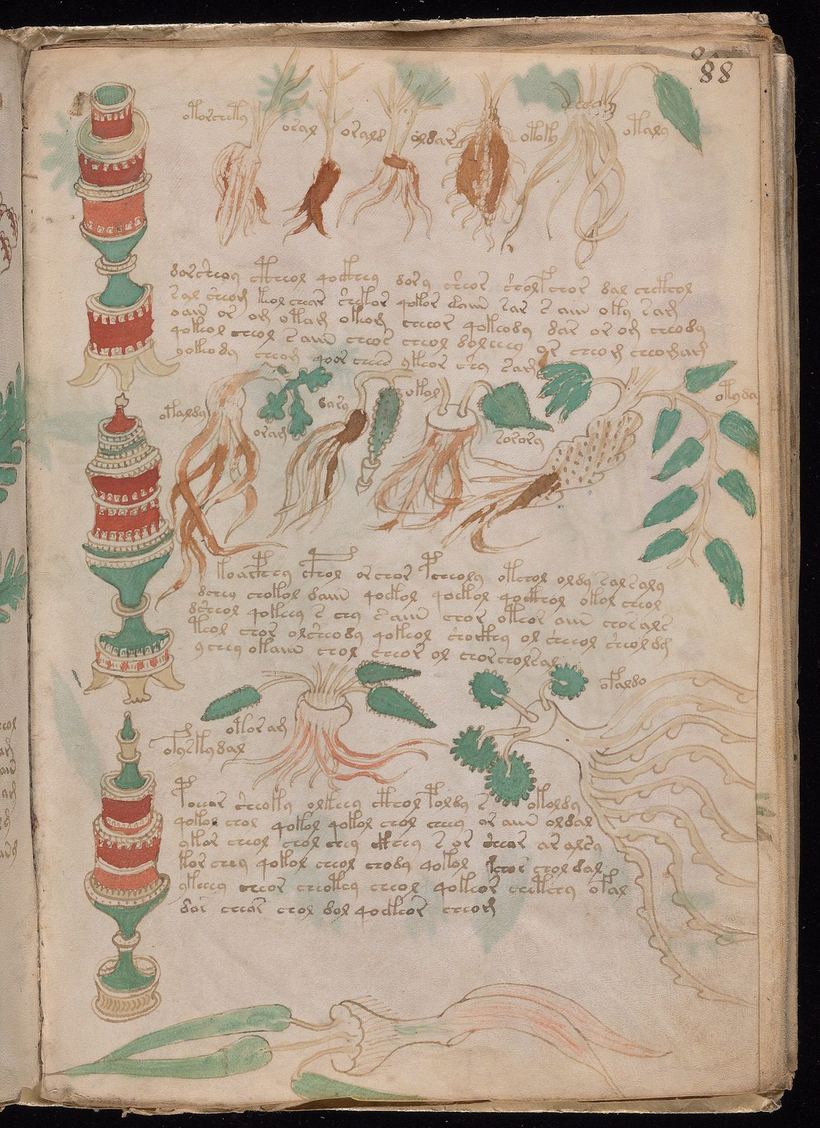 Folio 88r: pharmaceutical section with painted jars and labelled roots and leaves